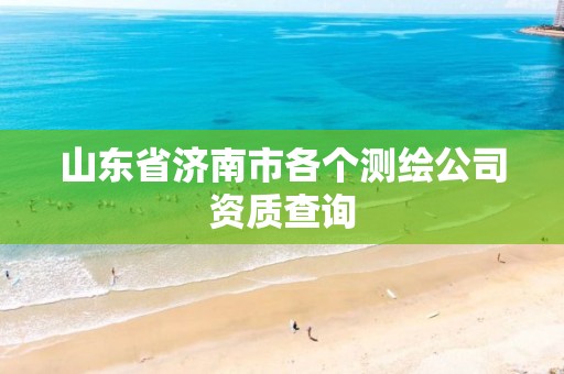 山东省济南市各个测绘公司资质查询