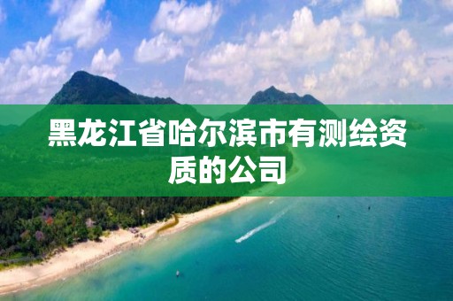 黑龙江省哈尔滨市有测绘资质的公司