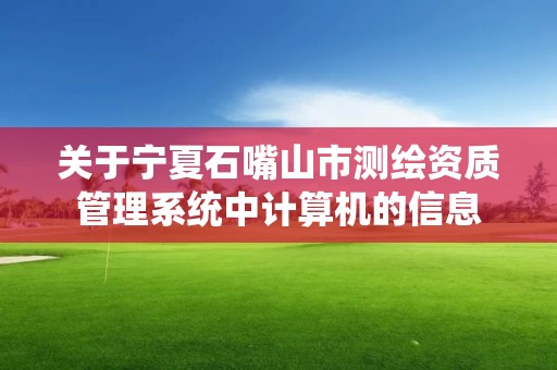 关于宁夏石嘴山市测绘资质管理系统中计算机的信息