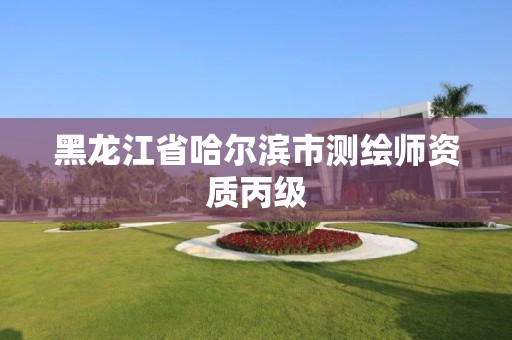 黑龙江省哈尔滨市测绘师资质丙级