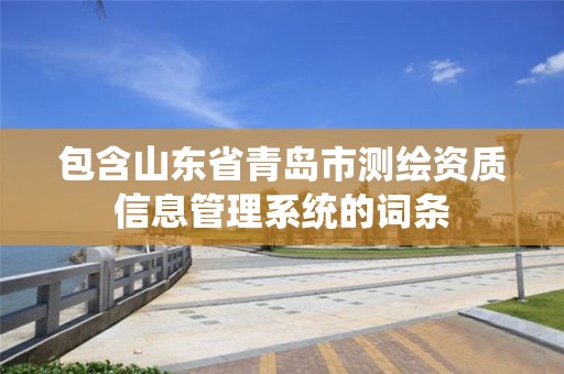 包含山东省青岛市测绘资质信息管理系统的词条