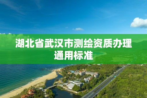 湖北省武汉市测绘资质办理通用标准