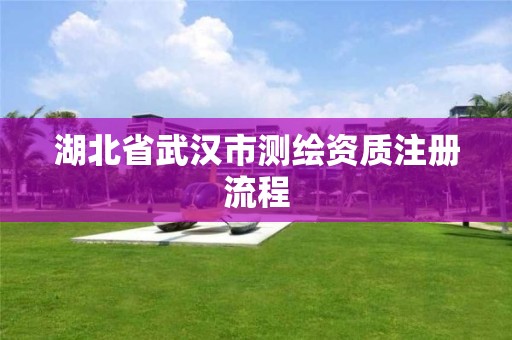 湖北省武汉市测绘资质注册流程