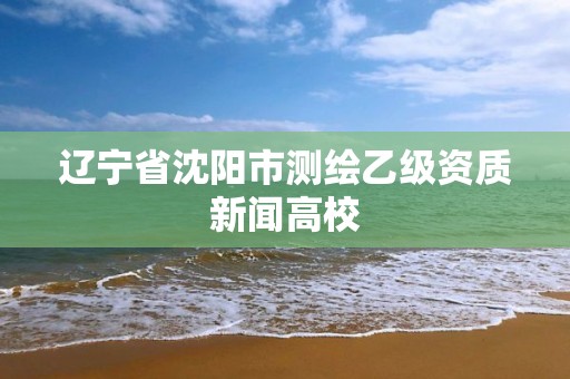 辽宁省沈阳市测绘乙级资质新闻高校