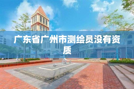 广东省广州市测绘员没有资质