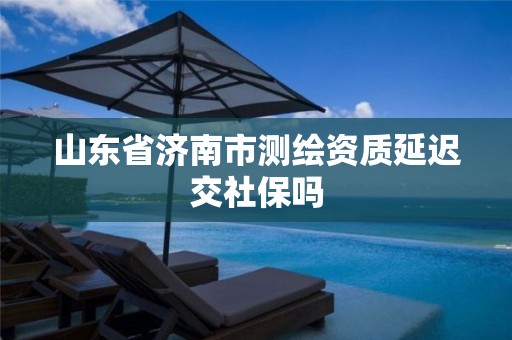 山东省济南市测绘资质延迟交社保吗