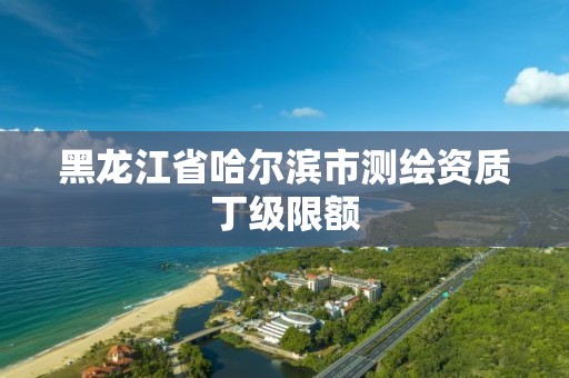 黑龙江省哈尔滨市测绘资质丁级限额