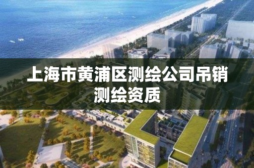 上海市黄浦区测绘公司吊销测绘资质