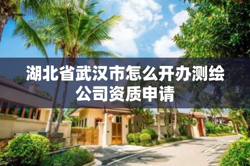 湖北省武汉市怎么开办测绘公司资质申请