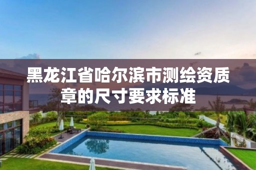 黑龙江省哈尔滨市测绘资质章的尺寸要求标准