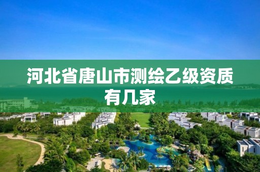 河北省唐山市测绘乙级资质有几家