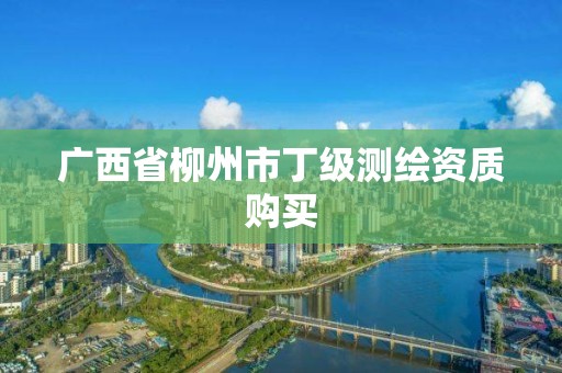 广西省柳州市丁级测绘资质购买