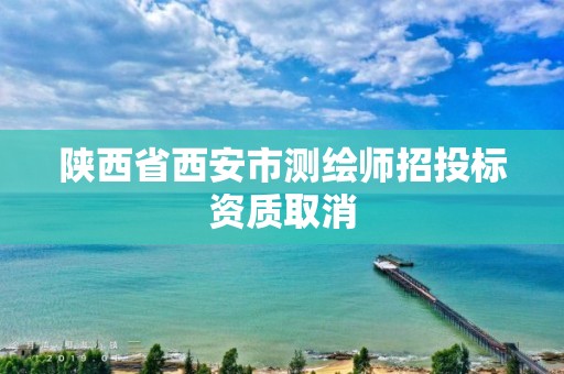 陕西省西安市测绘师招投标资质取消