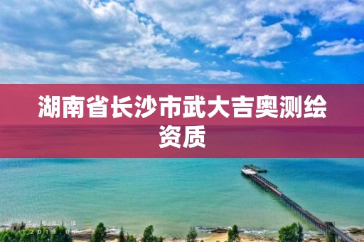 湖南省长沙市武大吉奥测绘资质