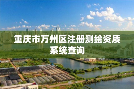 重庆市万州区注册测绘资质系统查询