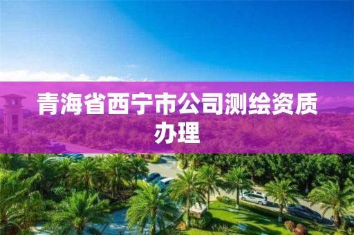 青海省西宁市公司测绘资质办理