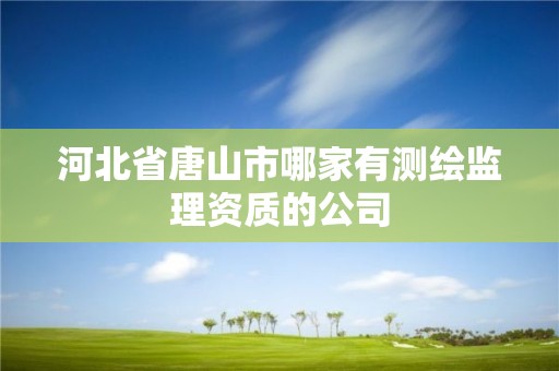 河北省唐山市哪家有测绘监理资质的公司