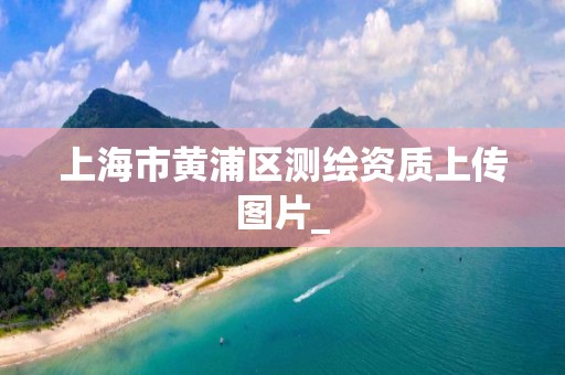 上海市黄浦区测绘资质上传图片_