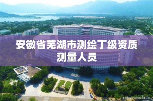 安徽省芜湖市测绘丁级资质测量人员