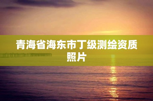 青海省海东市丁级测绘资质照片