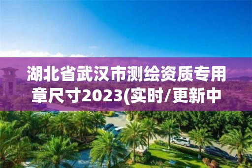 湖北省武汉市测绘资质专用章尺寸2023(实时/更新中)