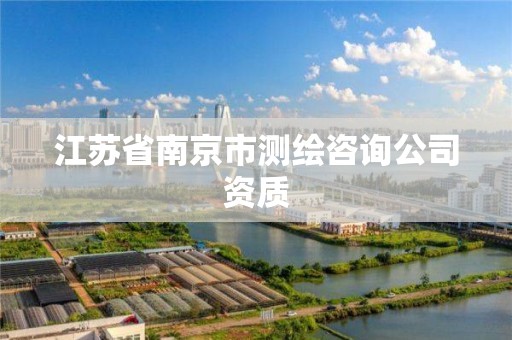 江苏省南京市测绘咨询公司资质