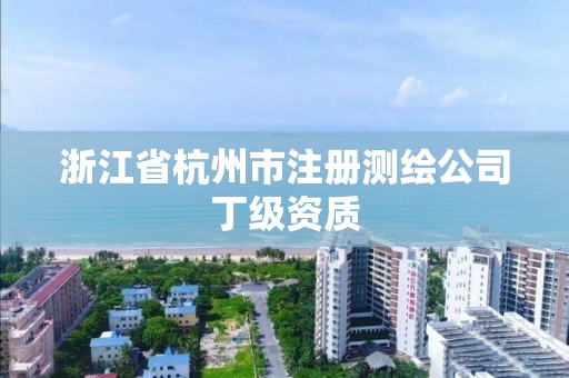 浙江省杭州市注册测绘公司丁级资质