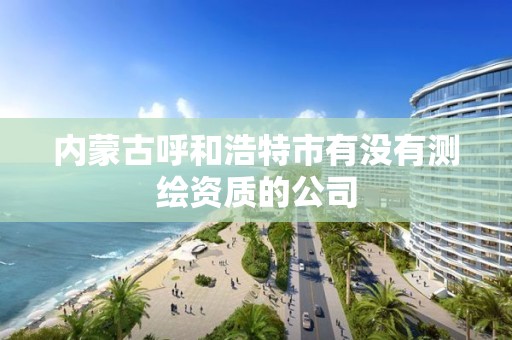 内蒙古呼和浩特市有没有测绘资质的公司