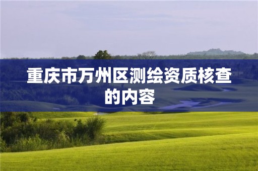 重庆市万州区测绘资质核查的内容