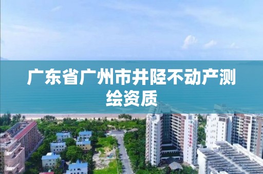 广东省广州市井陉不动产测绘资质