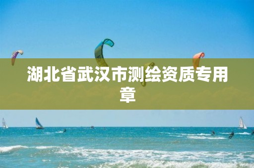 湖北省武汉市测绘资质专用章