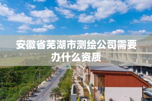 安徽省芜湖市测绘公司需要办什么资质