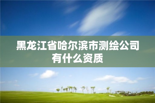 黑龙江省哈尔滨市测绘公司有什么资质