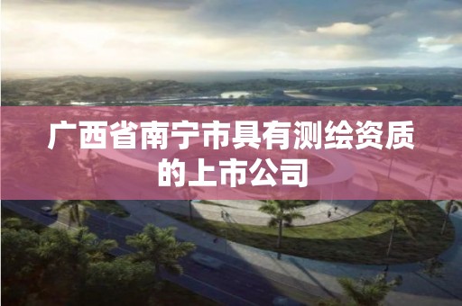 广西省南宁市具有测绘资质的上市公司