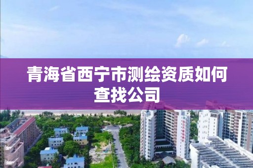 青海省西宁市测绘资质如何查找公司