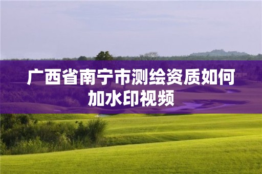 广西省南宁市测绘资质如何加水印视频