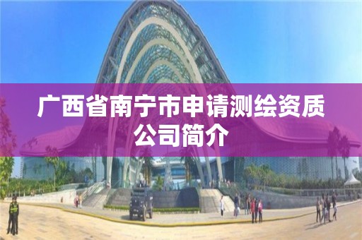 广西省南宁市申请测绘资质公司简介