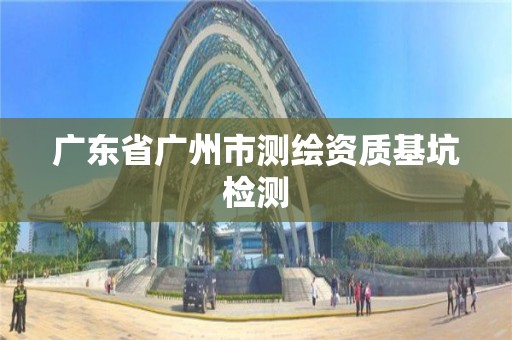 广东省广州市测绘资质基坑检测