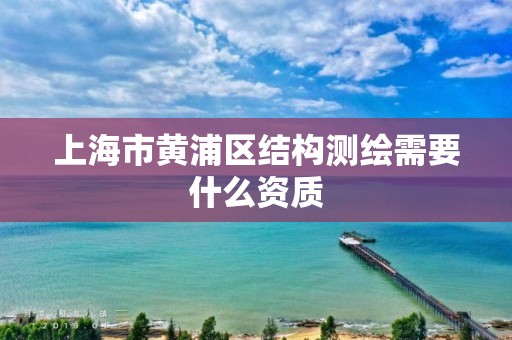 上海市黄浦区结构测绘需要什么资质