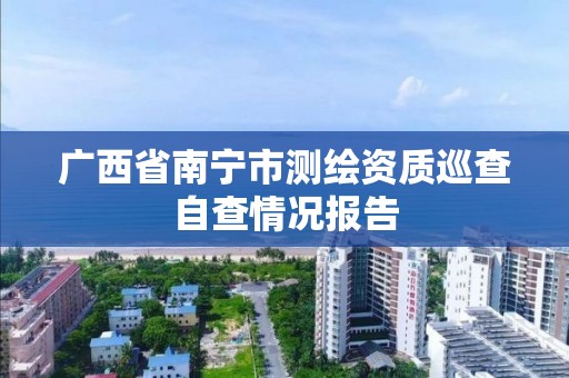 广西省南宁市测绘资质巡查自查情况报告