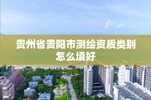 贵州省贵阳市测绘资质类别怎么填好