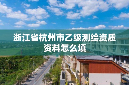 浙江省杭州市乙级测绘资质资料怎么填