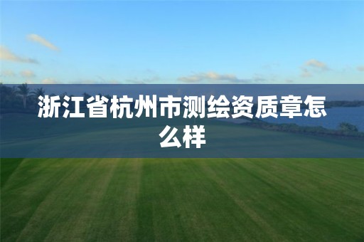 浙江省杭州市测绘资质章怎么样