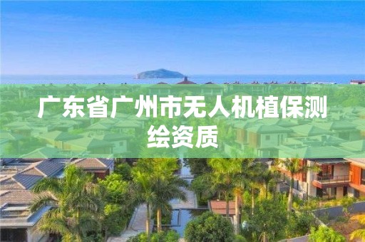 广东省广州市无人机植保测绘资质