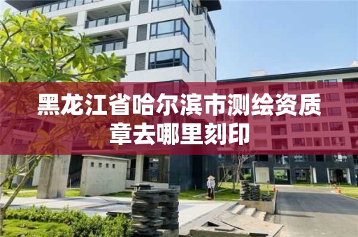 黑龙江省哈尔滨市测绘资质章去哪里刻印