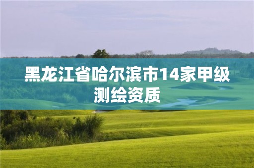 黑龙江省哈尔滨市14家甲级测绘资质