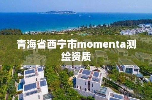 青海省西宁市momenta测绘资质