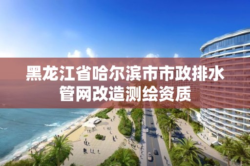 黑龙江省哈尔滨市市政排水管网改造测绘资质