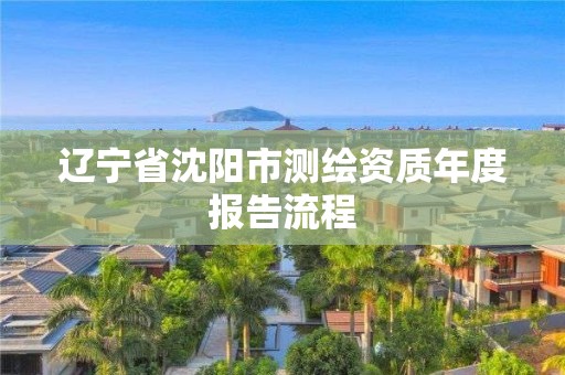 辽宁省沈阳市测绘资质年度报告流程