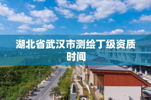 湖北省武汉市测绘丁级资质时间